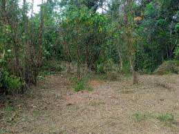 40 Cent Residential Plot for Sale in Vadakkencherry, Palakkad