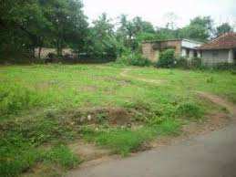 7 Cent Commercial Lands /Inst. Land for Sale in Vadakkencherry, Palakkad