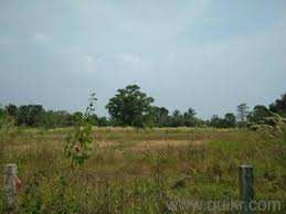 64 Cent Residential Plot for Sale in Vadakkencherry, Palakkad