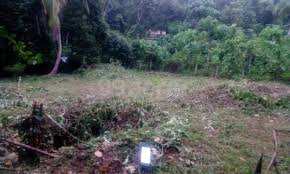 9 Cent Residential Plot for Sale in Velanthavalam, Palakkad