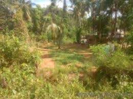 5.5 Cent Residential Plot for Sale in Velanthavalam, Palakkad
