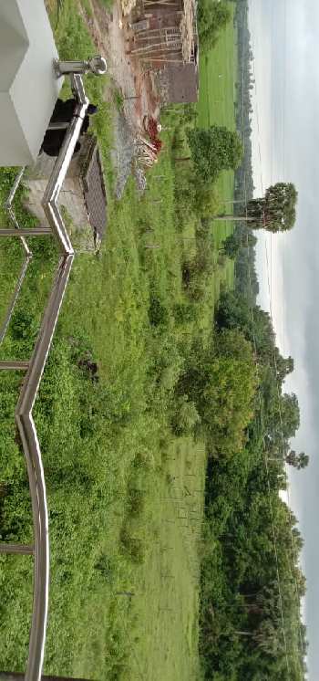 2 Acre Agricultural/Farm Land for Sale in Velanthavalam, Palakkad