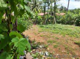 50 Cent Agricultural/Farm Land for Sale in Velanthavalam, Palakkad