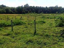 8 Cent Residential Plot for Sale in Kanjikode, Palakkad