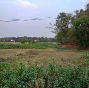 15 Cent Residential Plot for Sale in Puttur, Palakkad