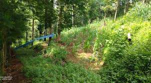 50 Cent Residential Plot for Sale in Velanthavalam, Palakkad