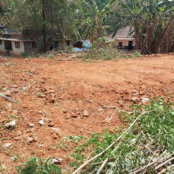 25 Cent Residential Plot for Sale in Velanthavalam, Palakkad