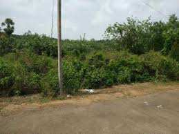 120 Cent Residential Plot for Sale in Velanthavalam, Palakkad