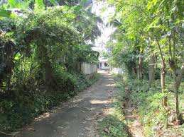 2.5 Acre Residential Plot for Sale in Velanthavalam, Palakkad