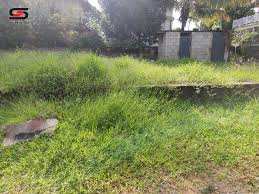 7 Cent Residential Plot for Sale in Chittur Thathamangalam, Palakkad