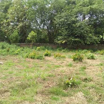 2 Acre Agricultural/Farm Land for Sale in Vadakkencherry, Palakkad