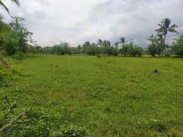17 Cent Residential Plot for Sale in Velanthavalam, Palakkad
