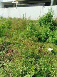 7 Cent Residential Plot for Sale in Kozhinjampara, Palakkad