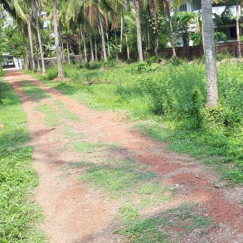 23 Acre Agricultural/Farm Land for Sale in Nemmara, Palakkad