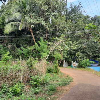 6 Cent Commercial Lands /Inst. Land for Sale in Chittur, Palakkad