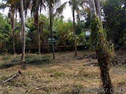 5 Acre Residential Plot for Sale in Kozhinjampara, Palakkad