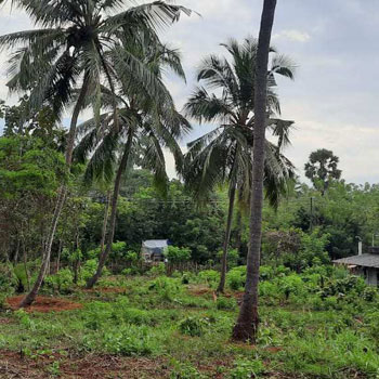 20 Cent Residential Plot for Sale in Chittur, Palakkad