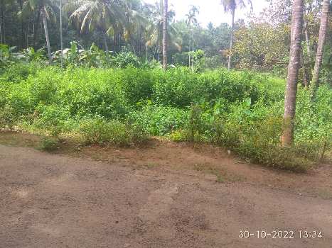 16.5 Cent Residential Plot for Sale in Manappadam, Palakkad