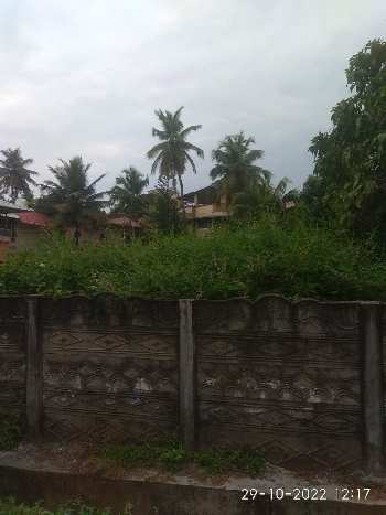 300 Cent Commercial Lands /Inst. Land for Sale in Kanjikode, Palakkad
