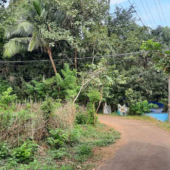 10 Cent Residential Plot for Sale in Kanjikode, Palakkad