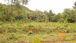 7 Cent Agricultural/Farm Land for Sale in Kozhinjampara, Palakkad