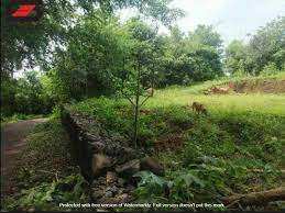 30 Cent Residential Plot for Sale in Chittur, Palakkad