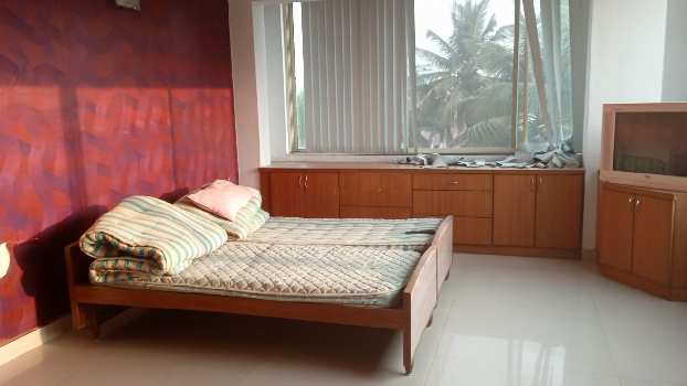 3 BHK Individual Houses / Villas for Sale in Parali, Palakkad (1300 Sq.ft.)