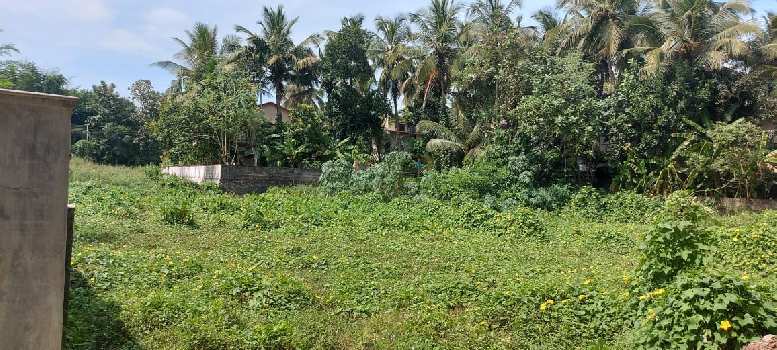 12 Cent Residential Plot for Sale in Kuzhalmannam, Palakkad