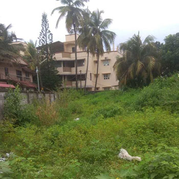8 Cent Residential Plot for Sale in Erattayal, Palakkad