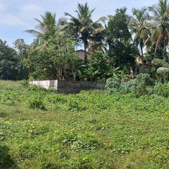 12 Cent Residential Plot for Sale in Elappully, Palakkad