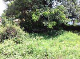 6 Cent Residential Plot for Sale in Alathur, Palakkad