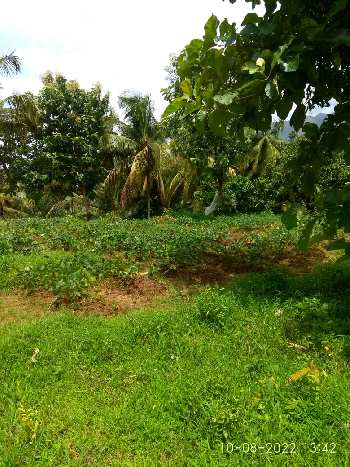 44 Cent Residential Plot for Sale in Alathur, Palakkad