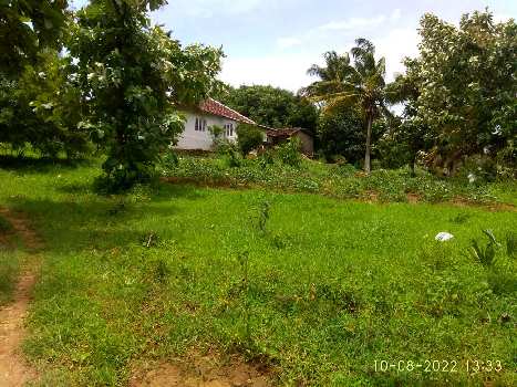 2 BHK Individual Houses / Villas for Sale in Vadakkencherry, Palakkad (860 Sq.ft.)
