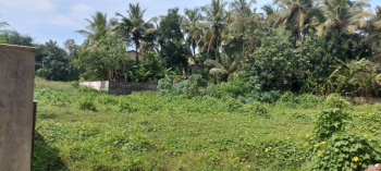 15 Cent Residential Plot for Sale in Chittur, Palakkad