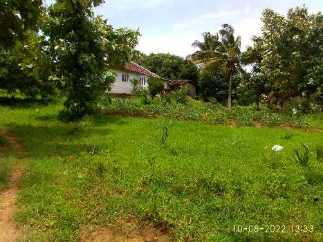 15 Acre Residential Plot for Sale in Puthur, Palakkad
