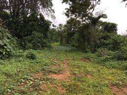 21 Cent Residential Plot for Sale in Puduppariyaram, Palakkad