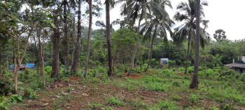 3 Cent Residential Plot for Sale in Mankavu, Palakkad