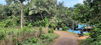 25 Cent Residential Plot for Sale in Manapullikavu, Palakkad
