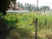 90 Cent Residential Plot for Sale in Kunathurmedu, Palakkad