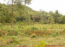 8 Acre Residential Plot for Sale in Kozhinjampara, Palakkad