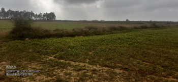 27 Acre Agricultural/Farm Land for Sale in Coorg, Mysore
