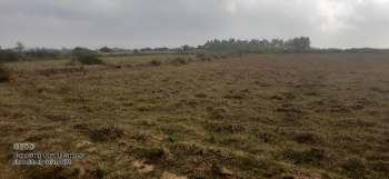 28 Acre Agricultural/Farm Land for Sale in Coorg, Mysore