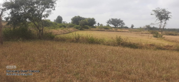 31 Acre Agricultural/Farm Land for Sale in Coorg, Mysore
