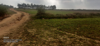 25 Acre Agricultural/Farm Land for Sale in Coorg, Mysore