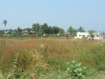 140 Cent Residential Plot for Sale in Kuzhalmannam, Palakkad