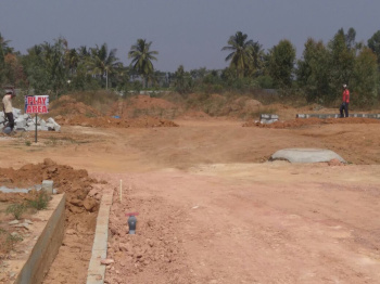 11439 Sq.ft. Commercial Lands /Inst. Land for Sale in Kammanahalli, Bangalore