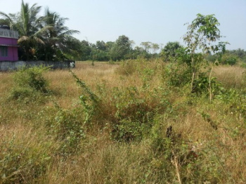 19.75 Cent Residential Plot for Sale in Kootupatha, Palakkad