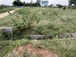 300 Cent Residential Plot for Sale in Walayar, Palakkad