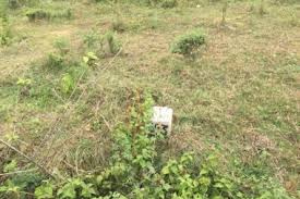 76 Cent Residential Plot for Sale in Vadakkencherry, Palakkad
