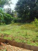 100 Cent Residential Plot for Sale in Pattambi, Palakkad